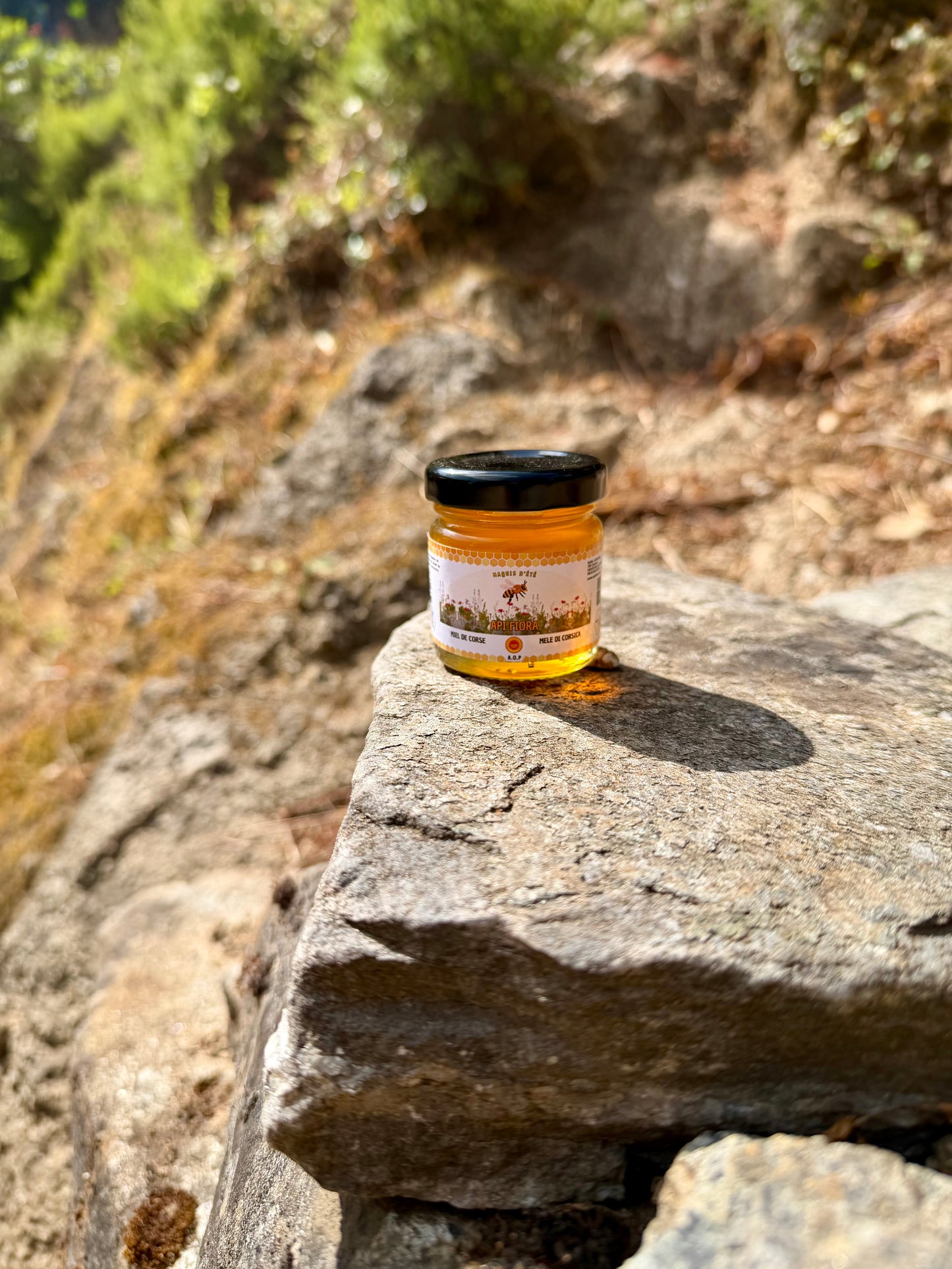 Miel de Maquis d’Été AOP