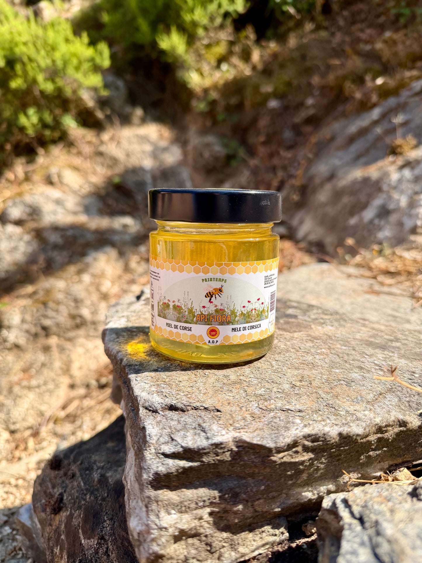 Miel de Printemps – Clémentinier AOP