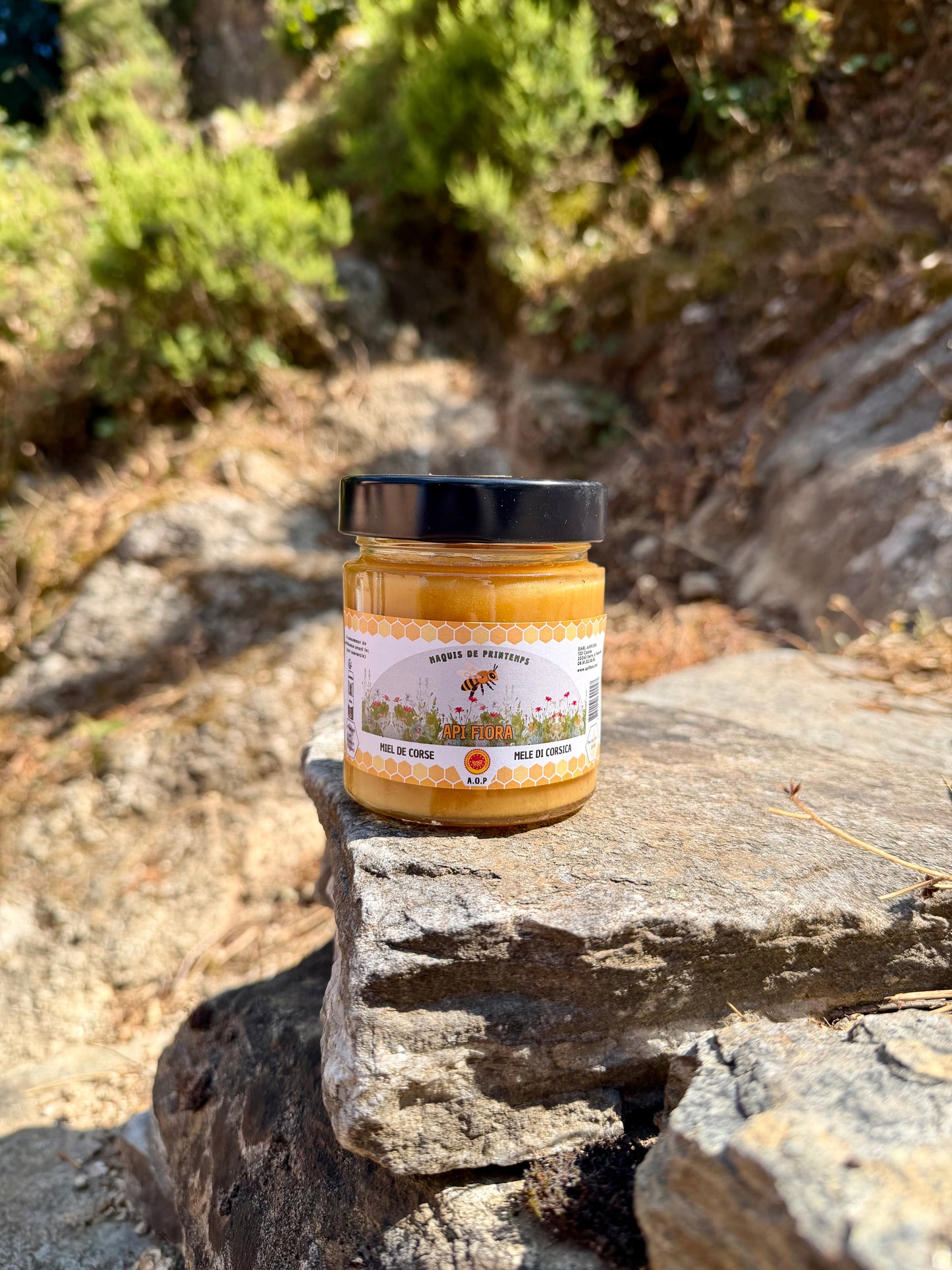 Miel de Maquis de Printemps AOP