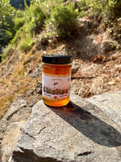 Miel de Maquis d’Été AOP