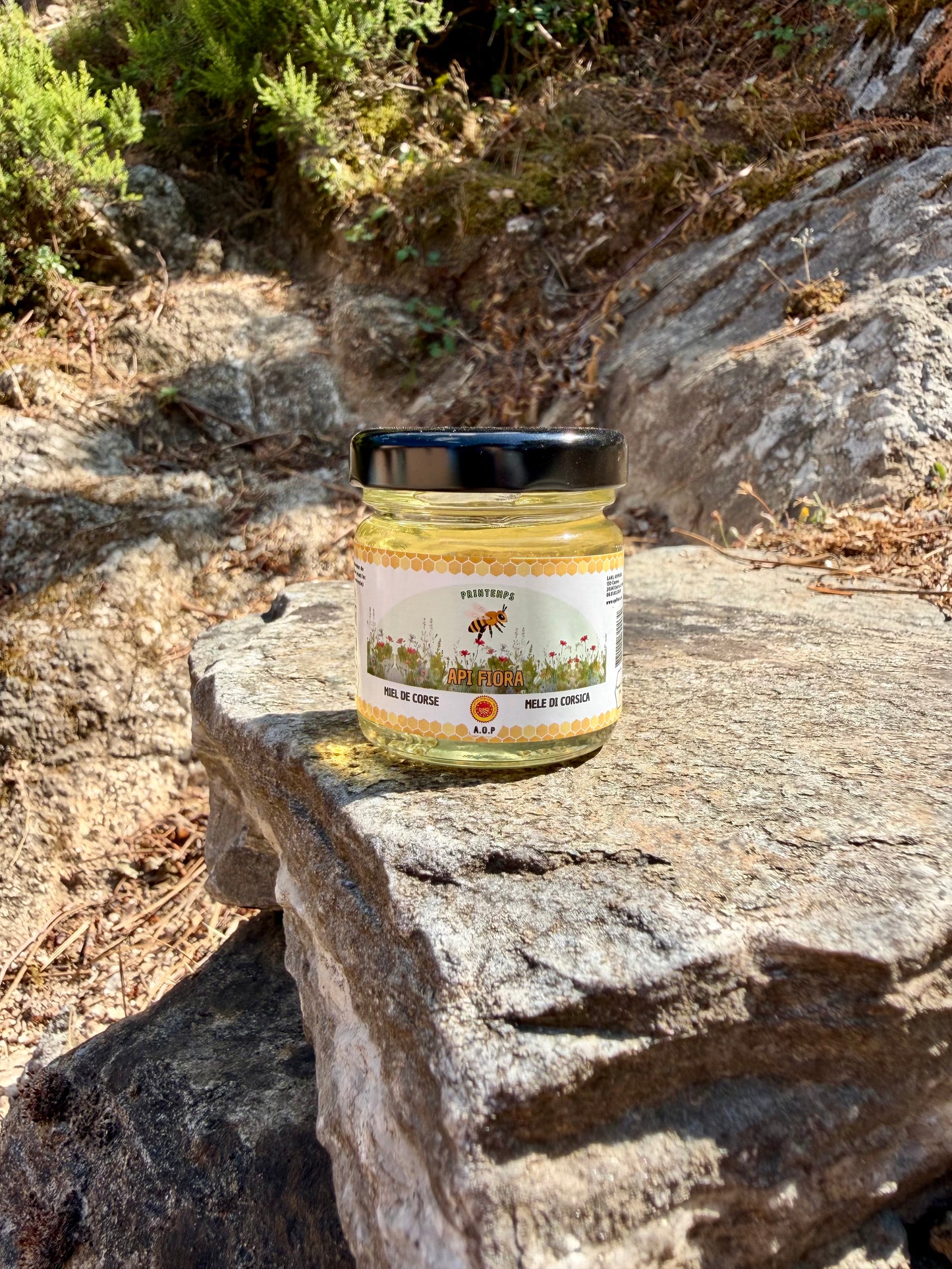 Miel de Printemps – Clémentinier AOP