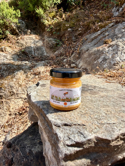 Miel de Maquis de Printemps AOP