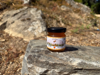 Miel de Châtaigneraie AOP