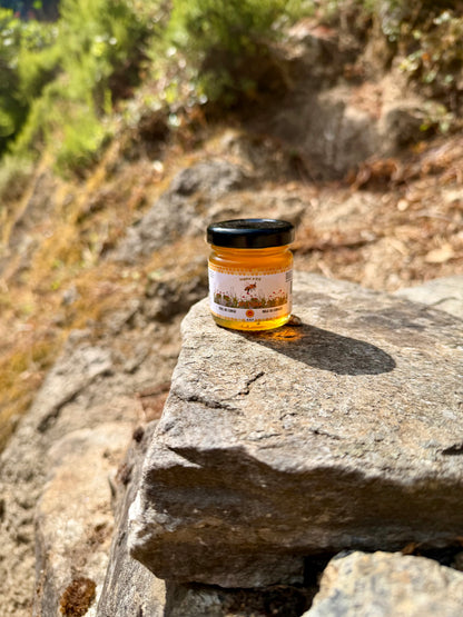 Miel de Maquis d’Été AOP